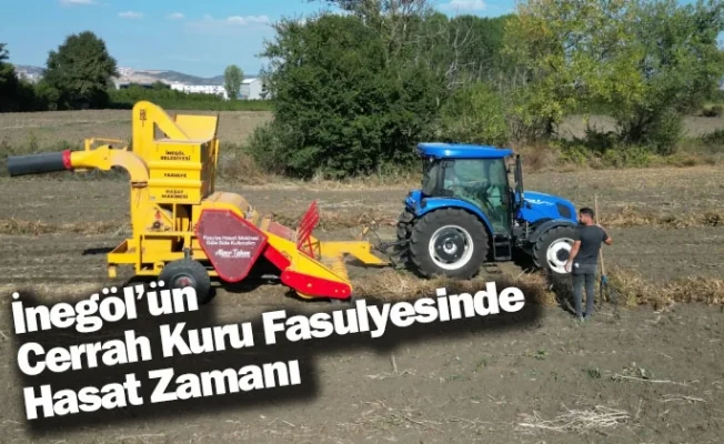 İnegöl’ün Cerrah Kuru Fasulyesinde Hasat Zamanı
