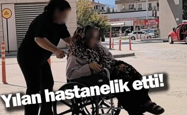 Yılan hastanelik etti!