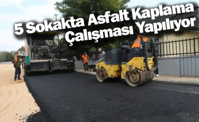 5 Sokakta Asfalt Kaplama Çalışması Yapılıyor