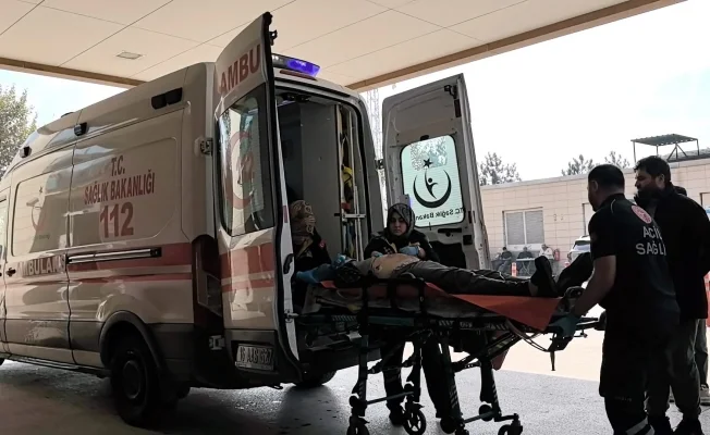 Ceviz toplamak için çıktığı ağaç sonu oldu