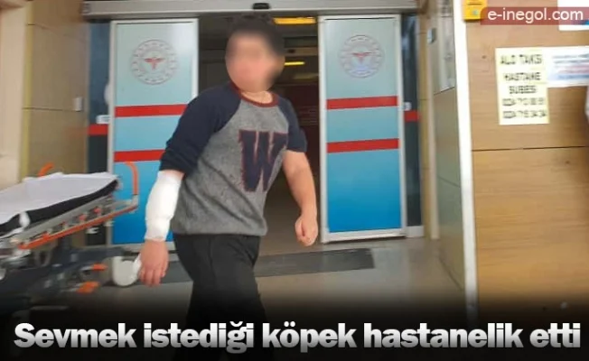 Sevmek istediği köpek hastanelik etti