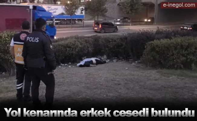 Yol kenarında erkek cesedi bulundu