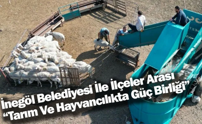 İnegöl Belediyesi İle İlçeler Arası “Tarım Ve Hayvancılıkta Güç Birliği”