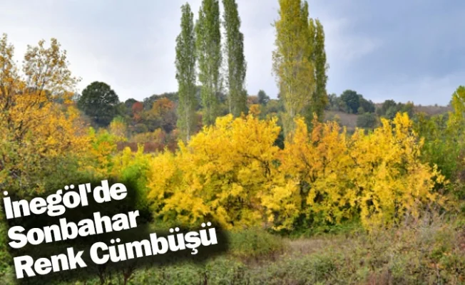 İnegöl'de Sonbahar Renk Cümbüşü