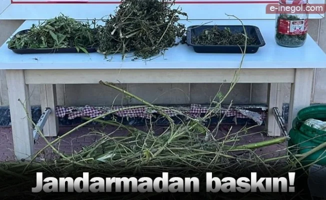 Jandarmadan baskın!