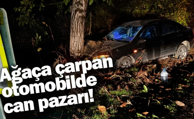 Ağaça çarpan otomobilde can pazarı!