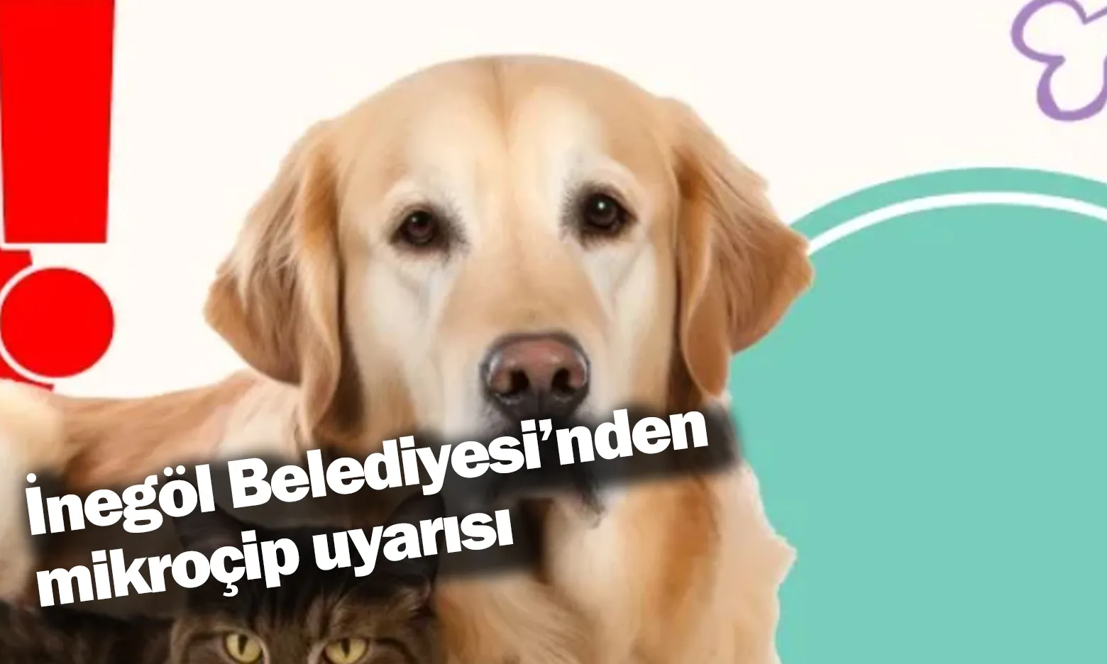 İnegöl Belediyesi’nden mikroçip uyarısı