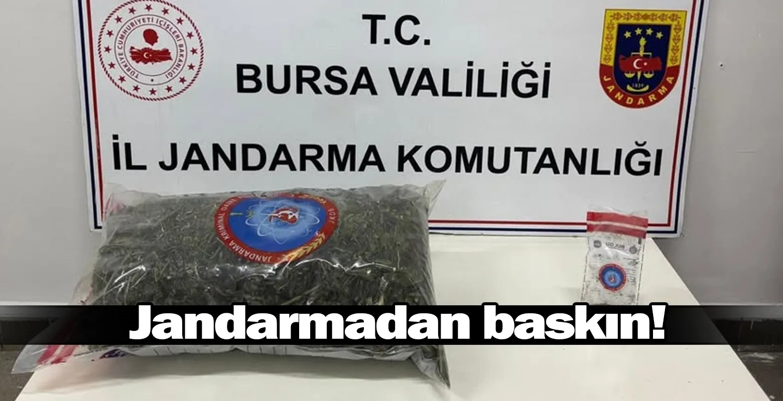 Jandarmadan baskın!