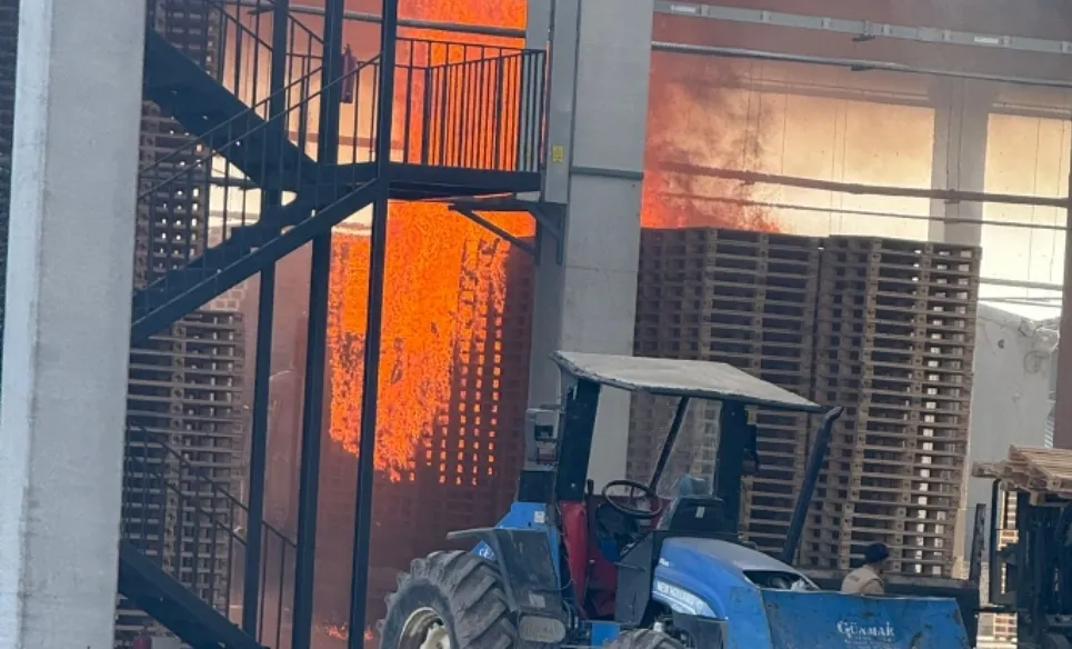 Palet fabrikasında yangın