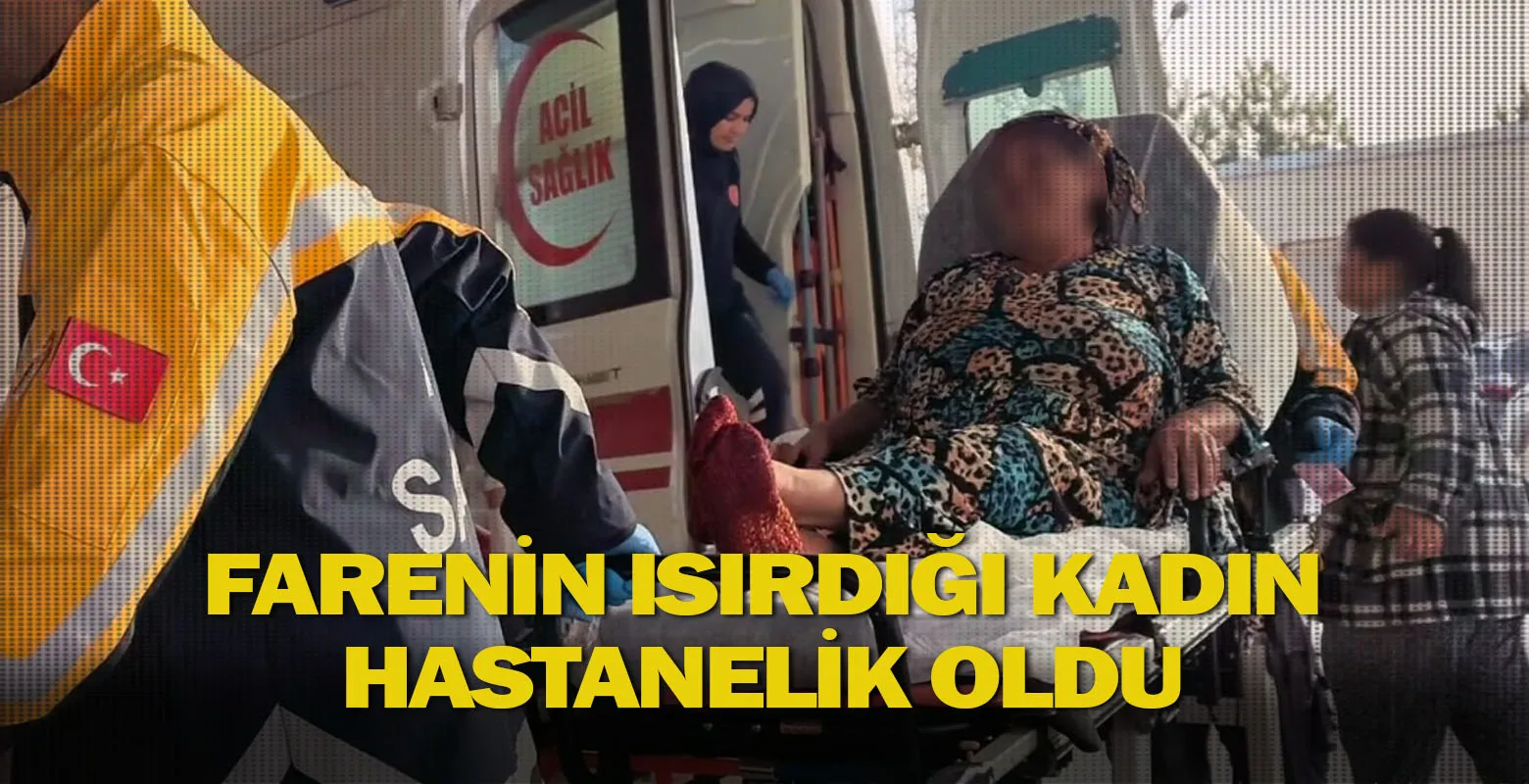 Farenin ısırdığı kadın hastanelik oldu