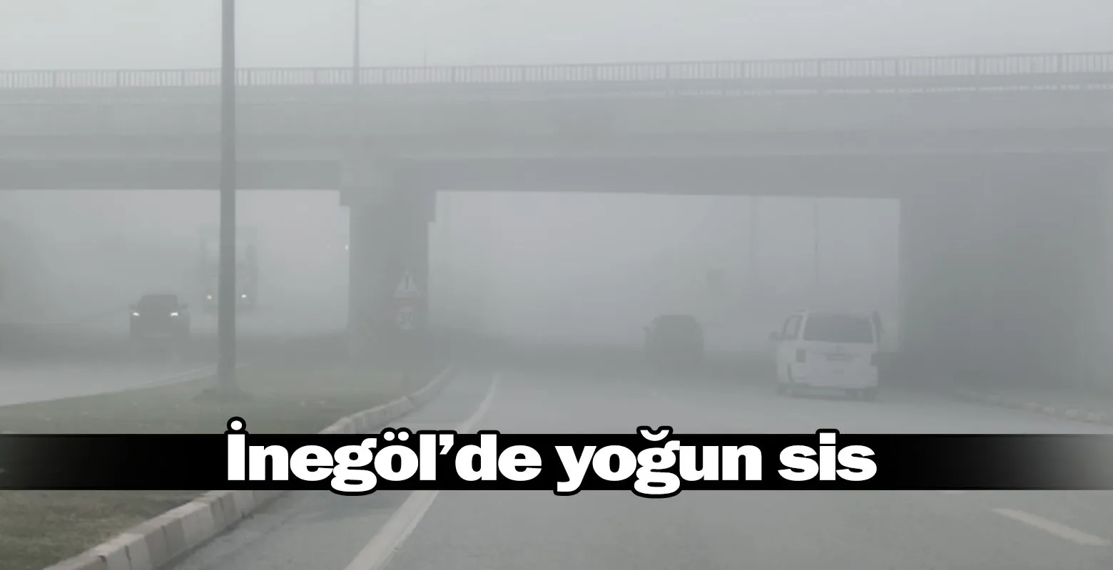 İnegöl'de yoğun sis
