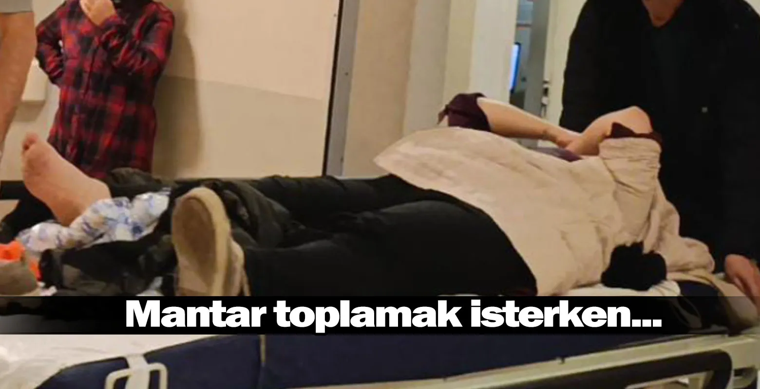 Mantar toplamak isterken...