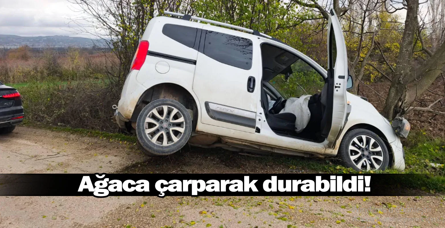 Ağaca çarparak durabildi!
