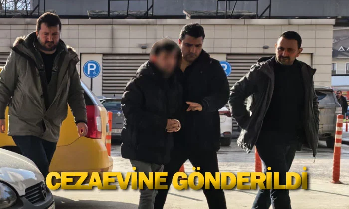 Cezaevine gönderildi