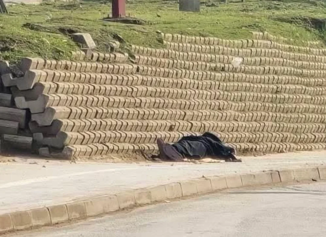 Yol kenarında hareketsiz halde bulundu…