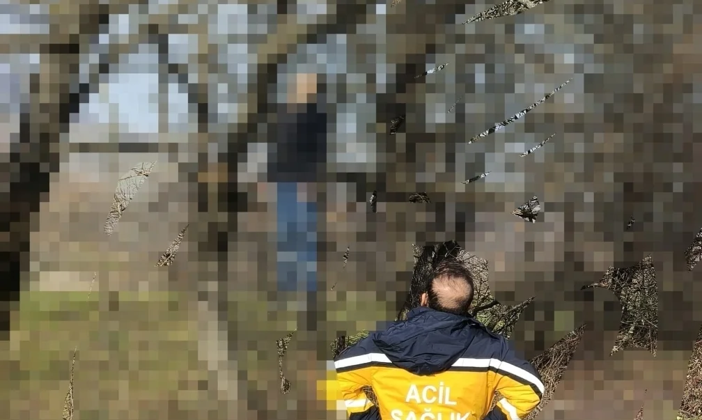 50 Yaşındaki Adam Tarlada Ağaca Asılı Halde Bulundu