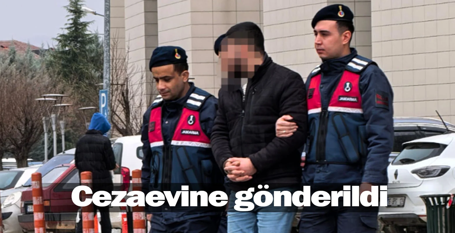 Cezaevine gönderildi