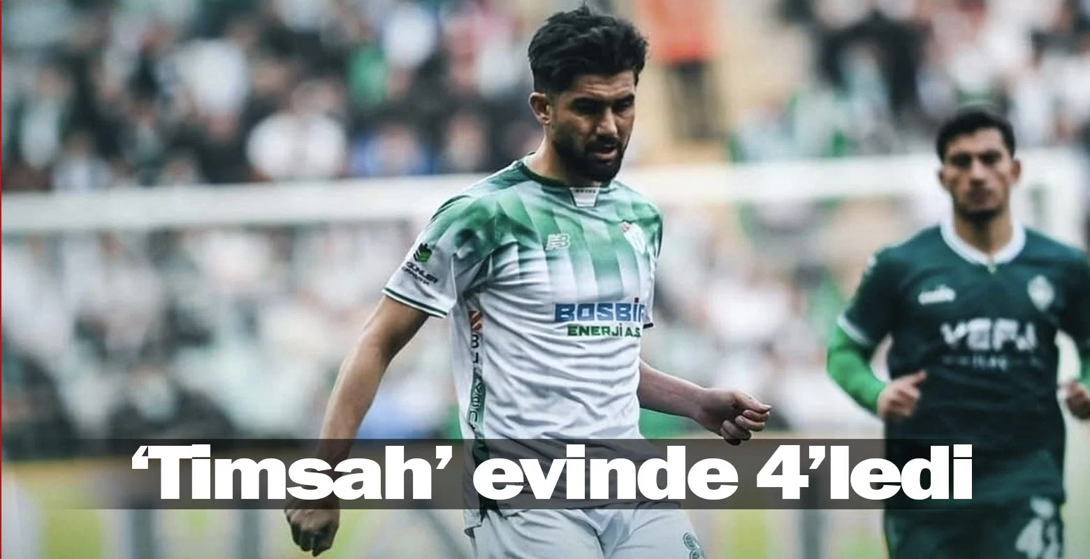 'Timsah' evinde 4'ledi