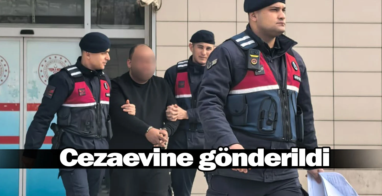 Cezaevine gönderildi