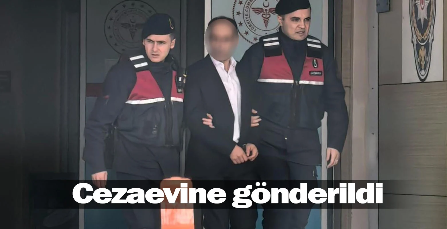 Cezaevine gönderildi