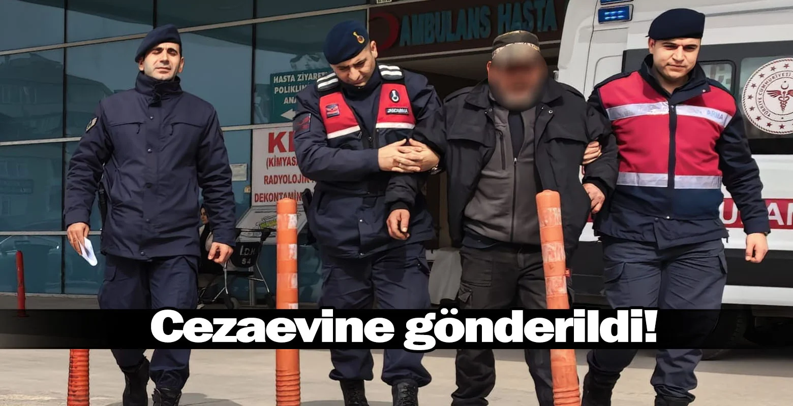 Cezaevine gönderildi!