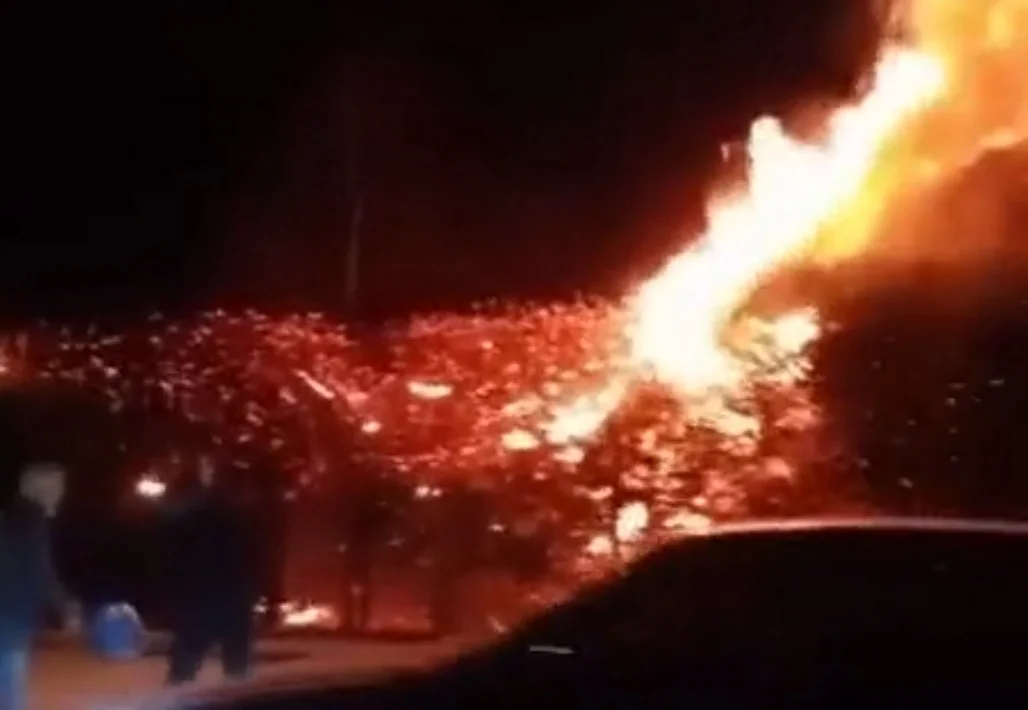 İnegöl'de alevler yükseldi