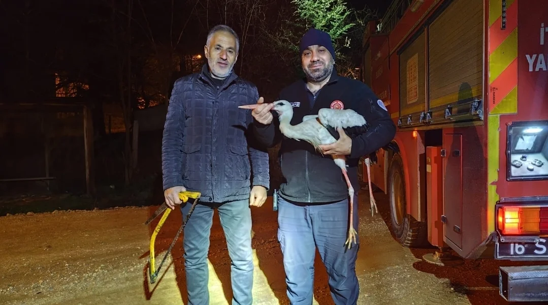İtfaiyeden leylek kurtarma operasyonu