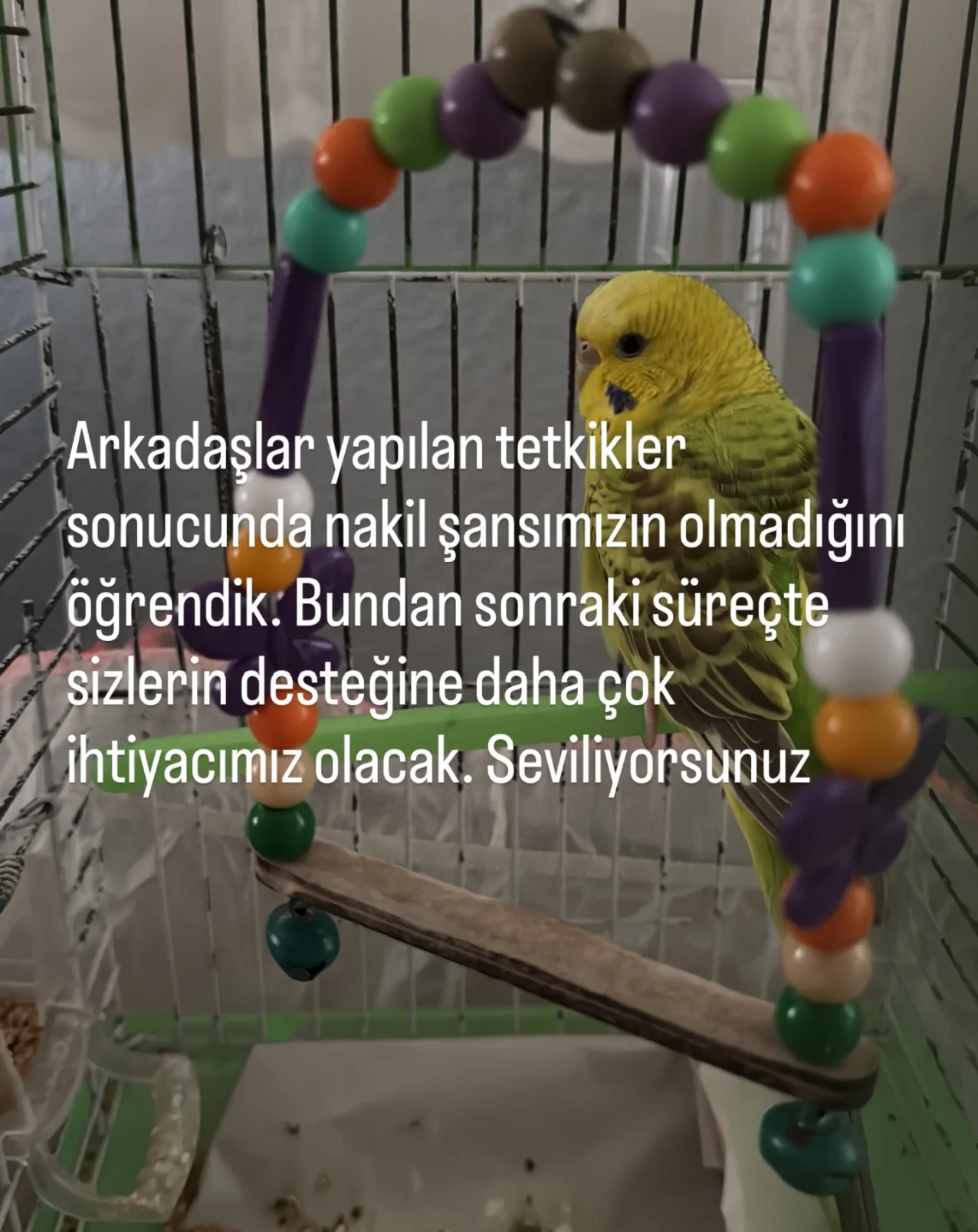 Mucizenin böylesi...