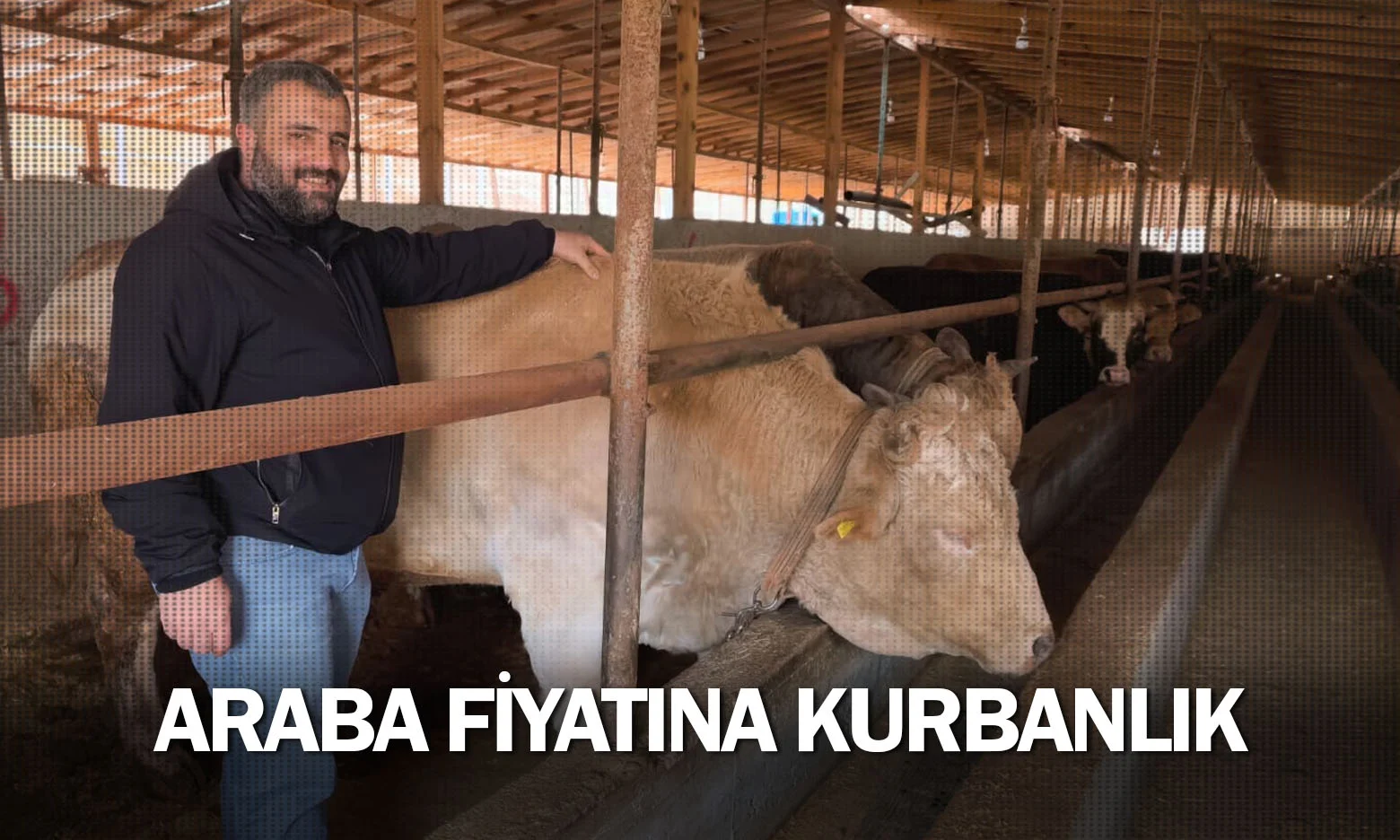 Araba fiyatına kurbanlık