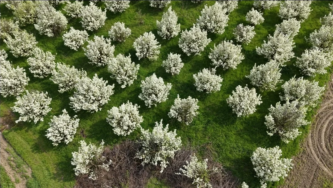 İnegöl'de kartpostallık görüntüler