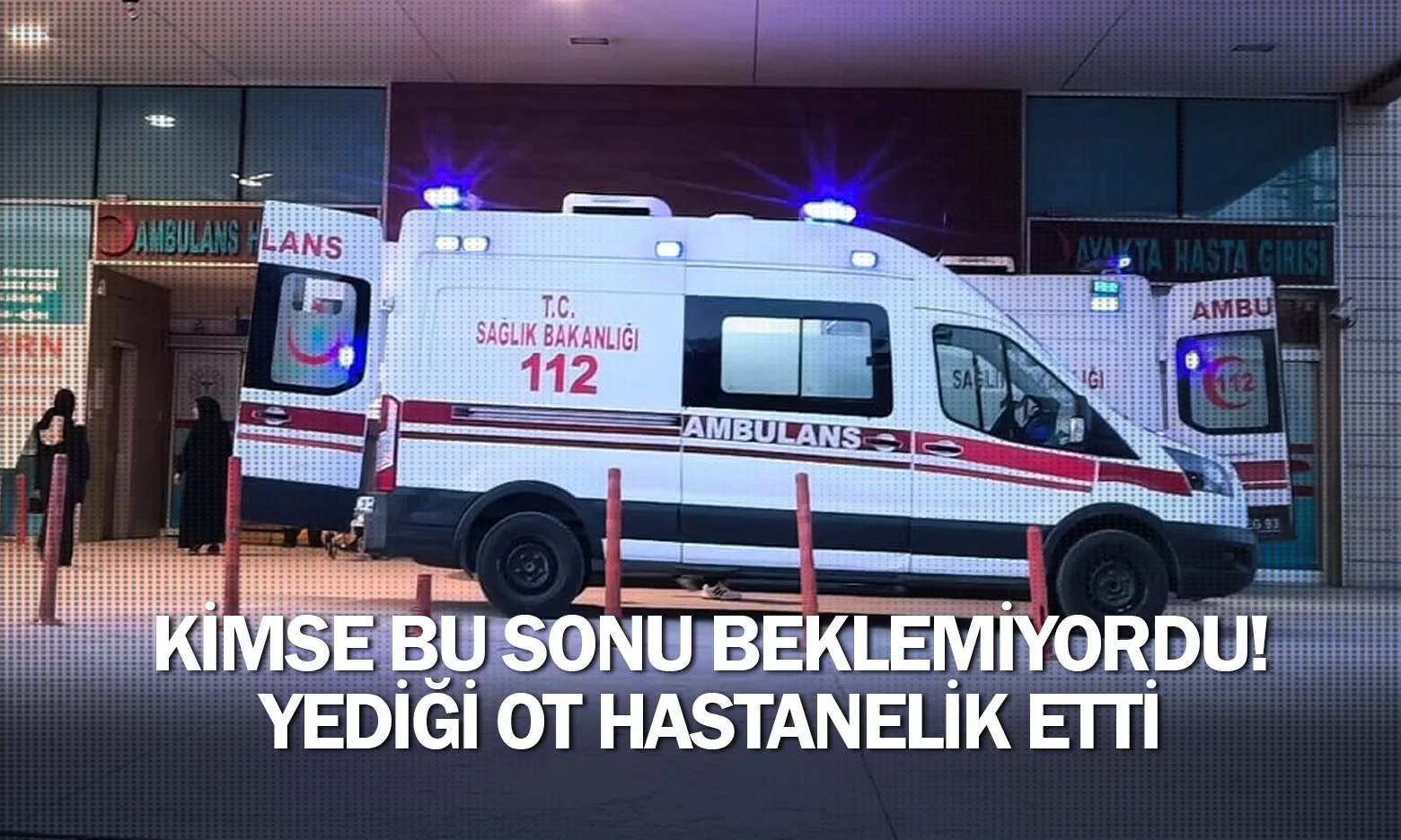 Kimse Bu Sonu Beklemiyordu! Yediği Ot Hastanelik Etti