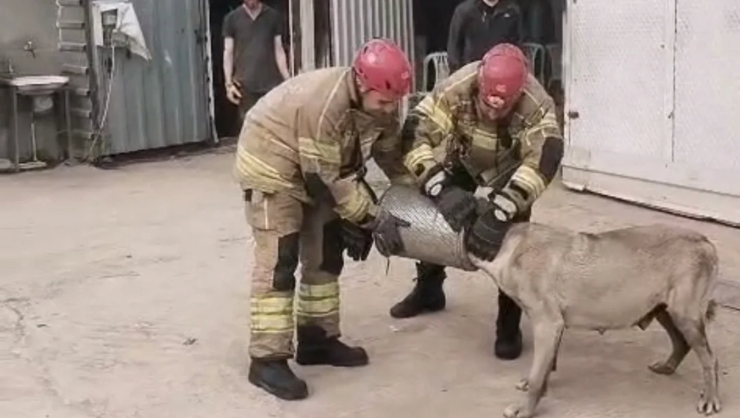 İnegöl'de köpeği böyle kurtardılar!