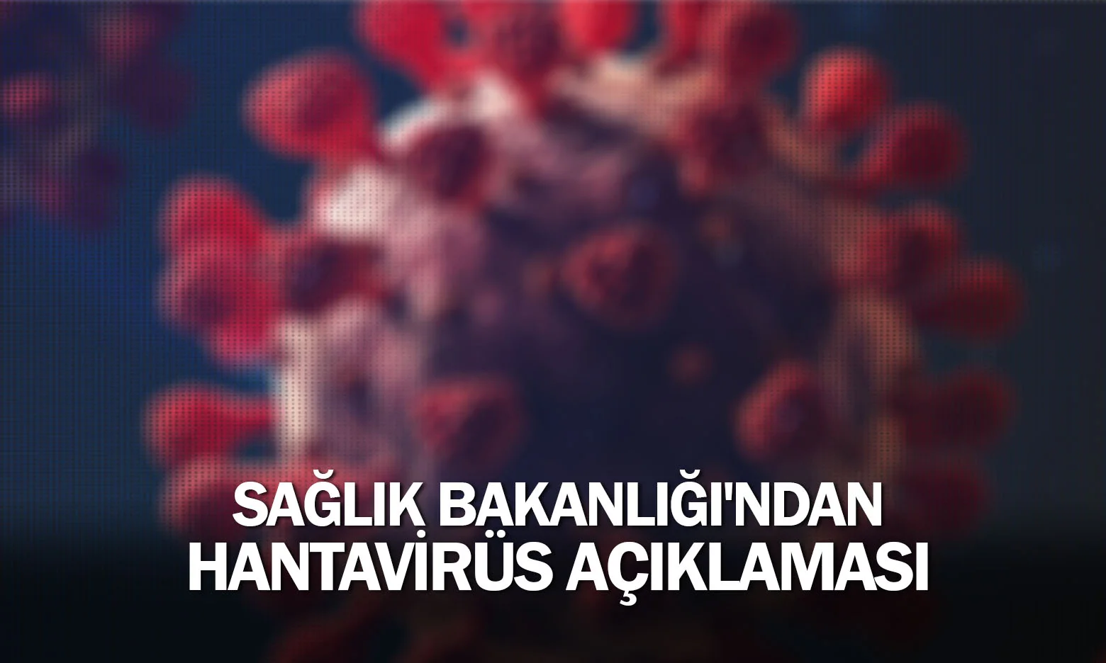 Sağlık Bakanlığı'ndan Hantavirüs açıklaması