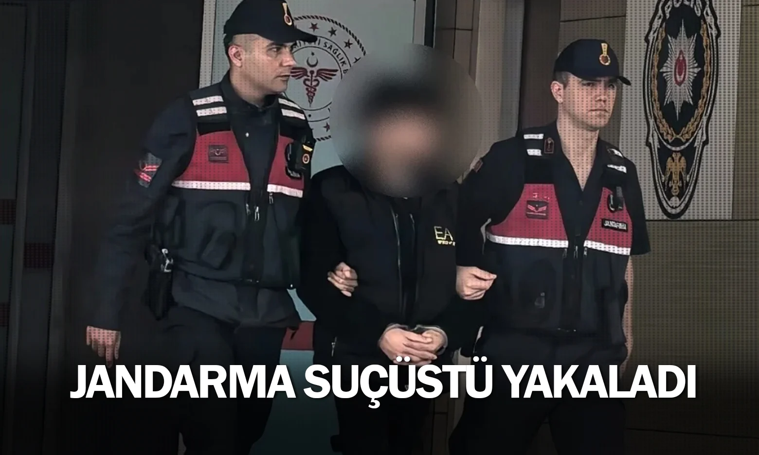 Jandarma suçüstü yakaladı