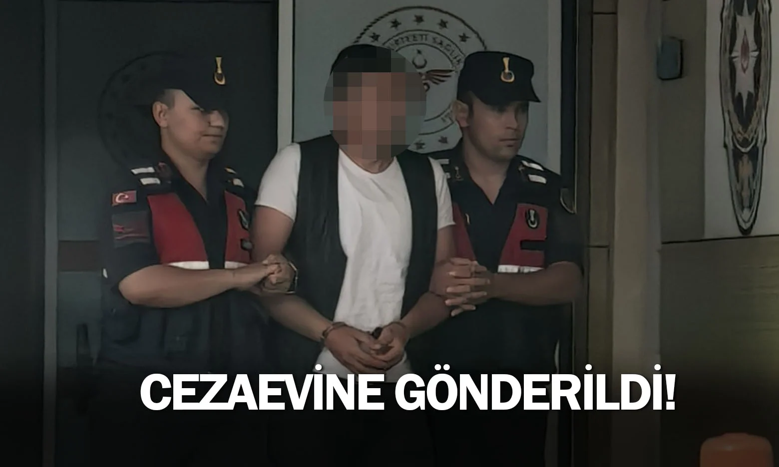 Cezaevine gönderildi!