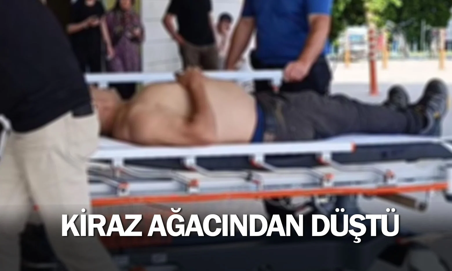Kiraz ağacından düştü