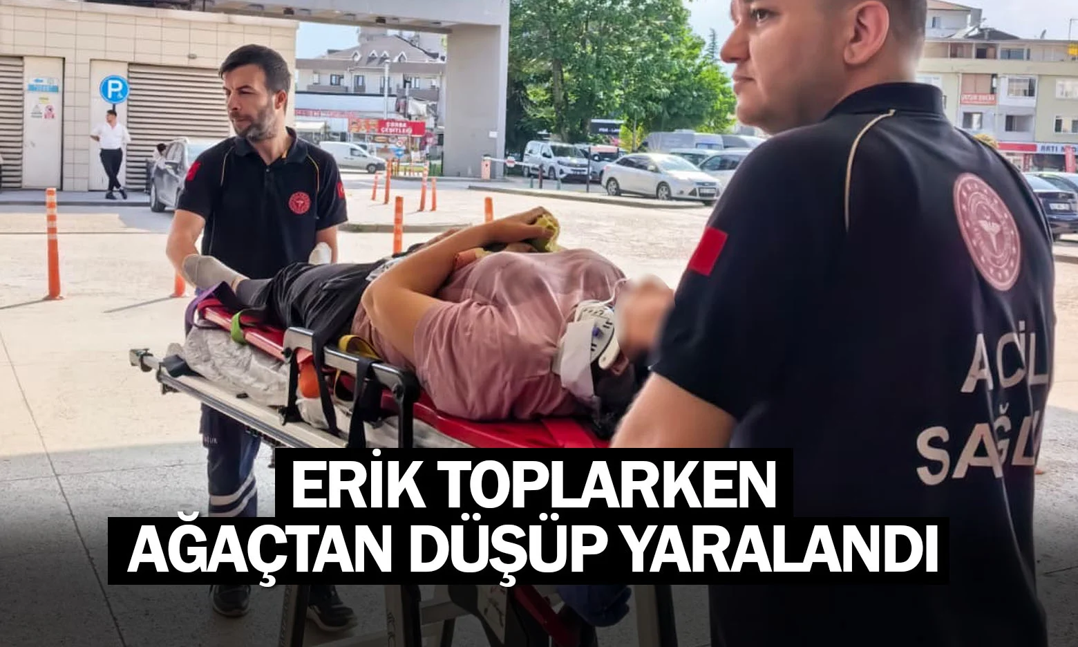 Erik toplarken ağaçtan düşüp yaralandı