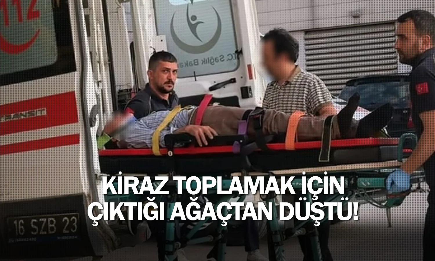 Kiraz toplamak için çıktığı ağaçtan düştü!