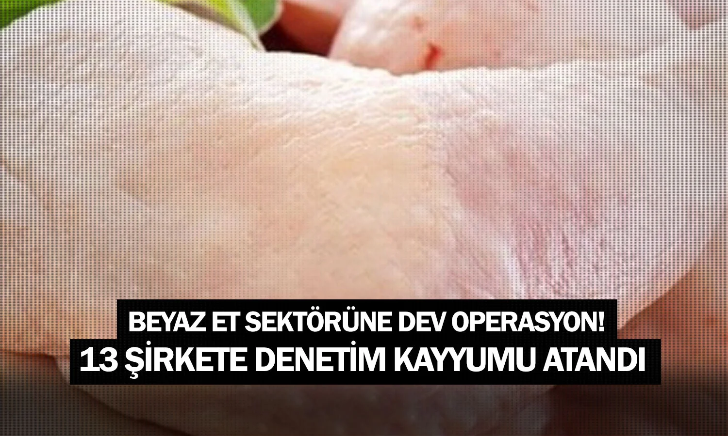 Beyaz et sektörüne dev operasyon! 13 şirkete denetim kayyumu atandı