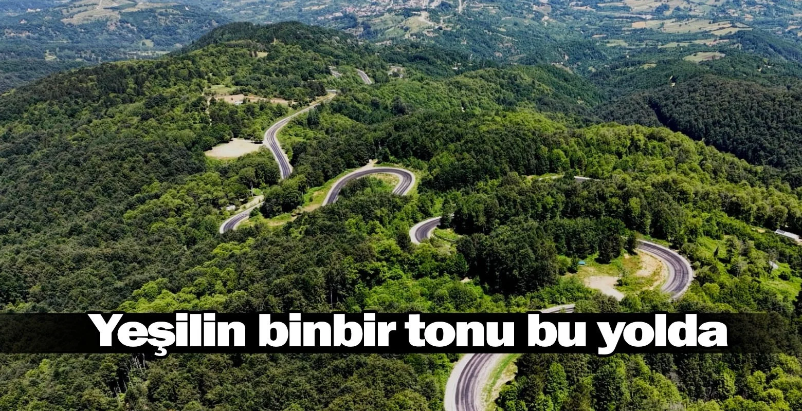 Yeşilin binbir tonu bu yolda