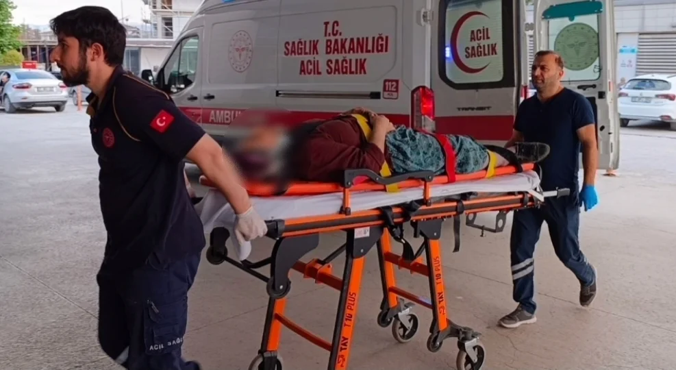 Kiraz ağacından düştü!