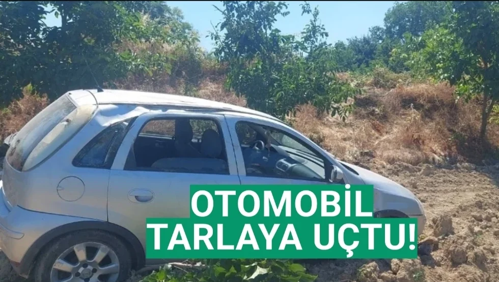 İnegöl'de otomobil tarlaya uçtu!