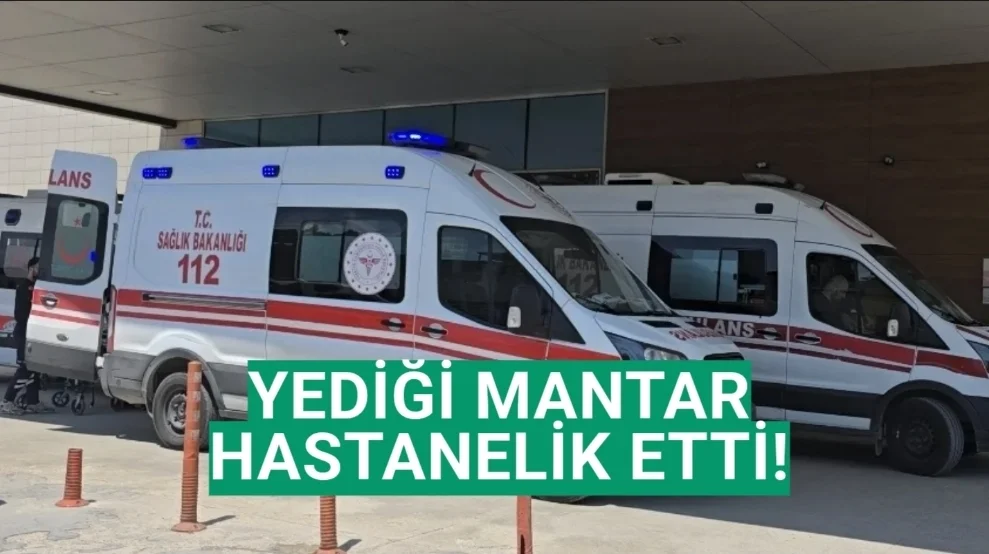 Yediği mantar hastanelik etti