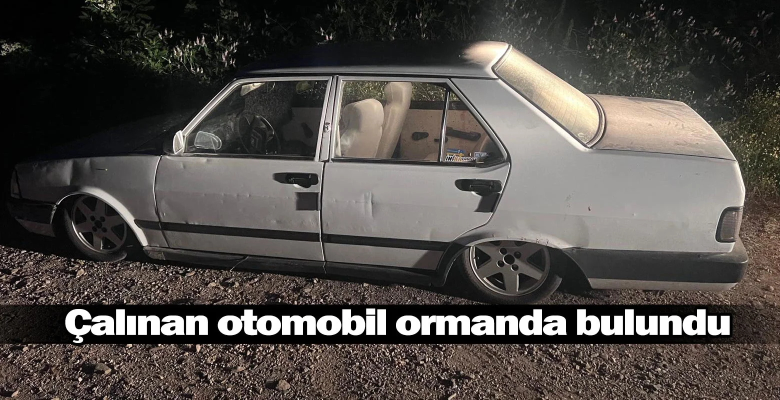 Çalınan otomobil ormanda bulundu