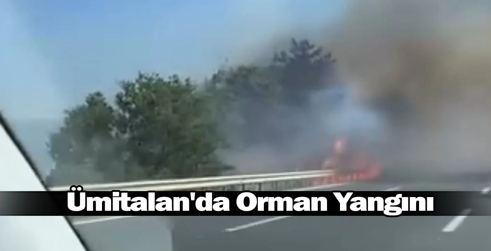 Ümitalan'da Orman Yangını