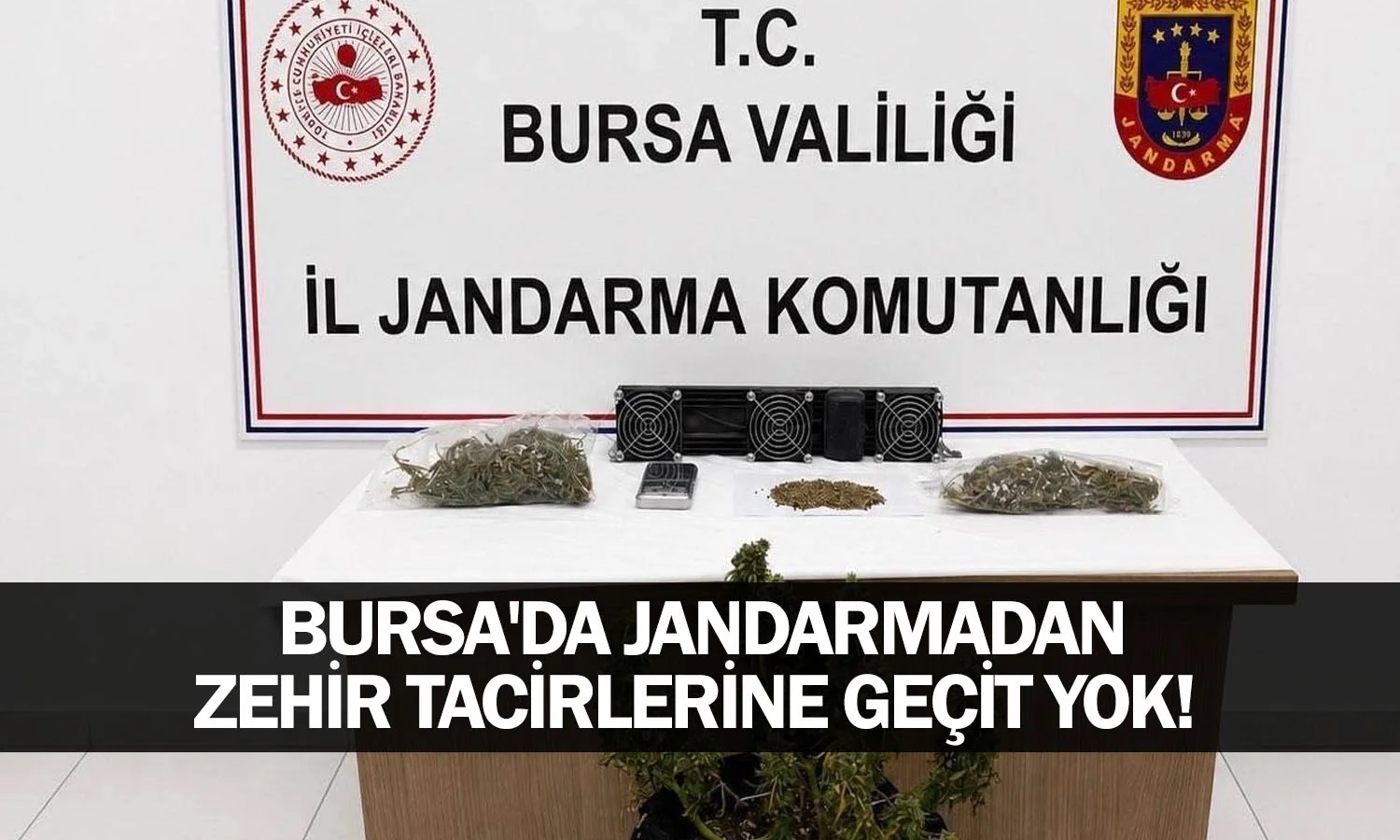 Bursa'da Jandarmadan zehir tacirlerine geçit yok!