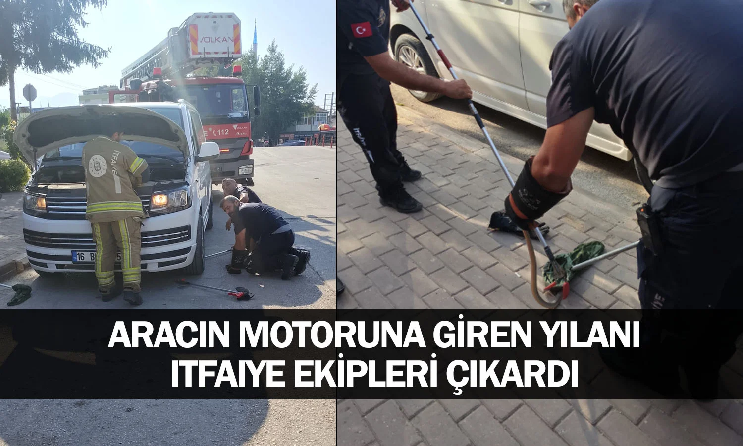 Aracın motoruna giren yılanı itfaiye ekipleri çıkardı