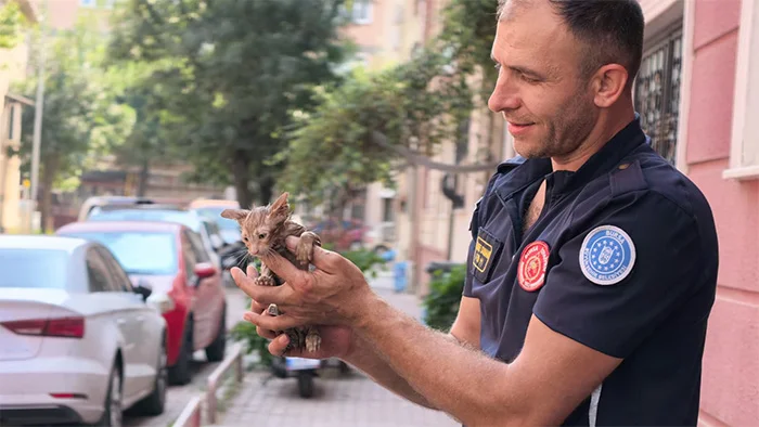Yavru kedi için seferber oldular! Yavru kedi için seferber oldular!