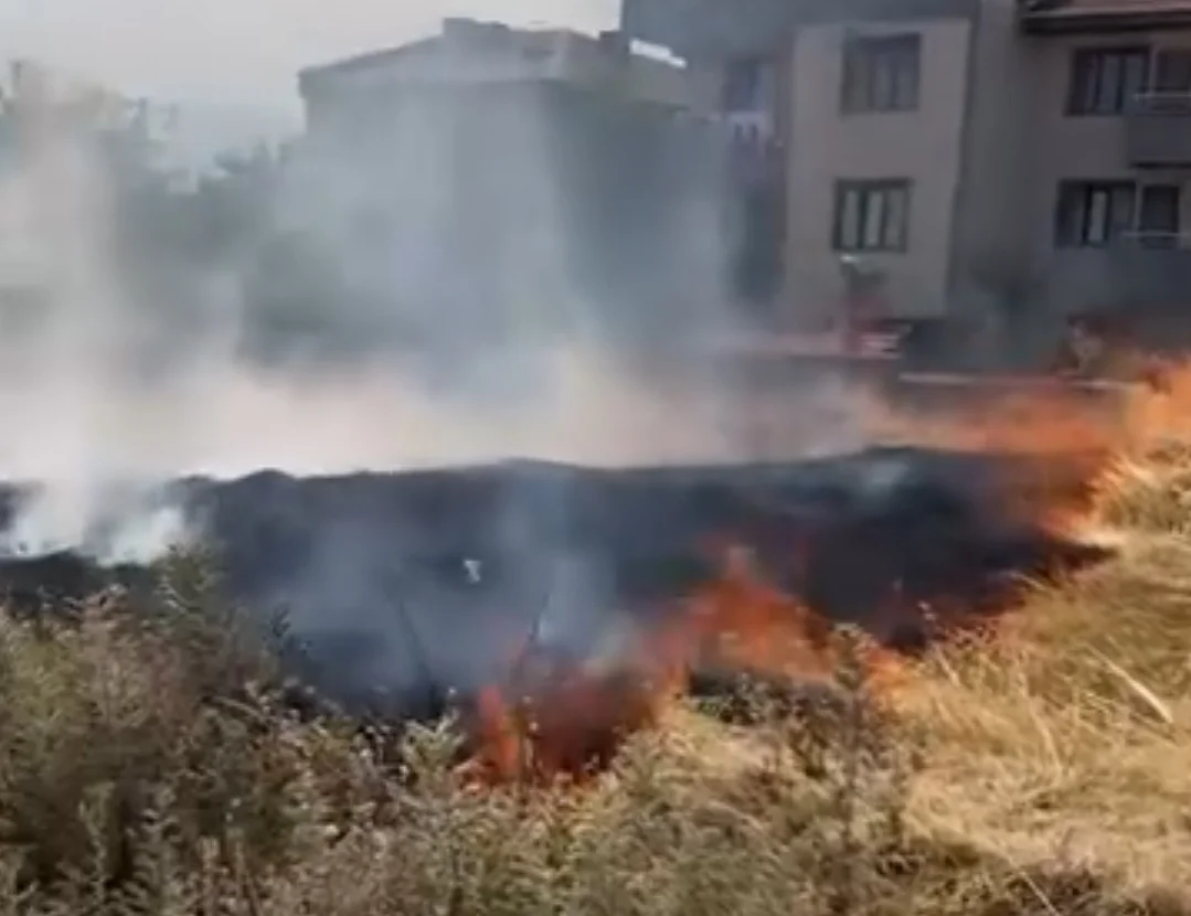 Anız yangını korkuttu!