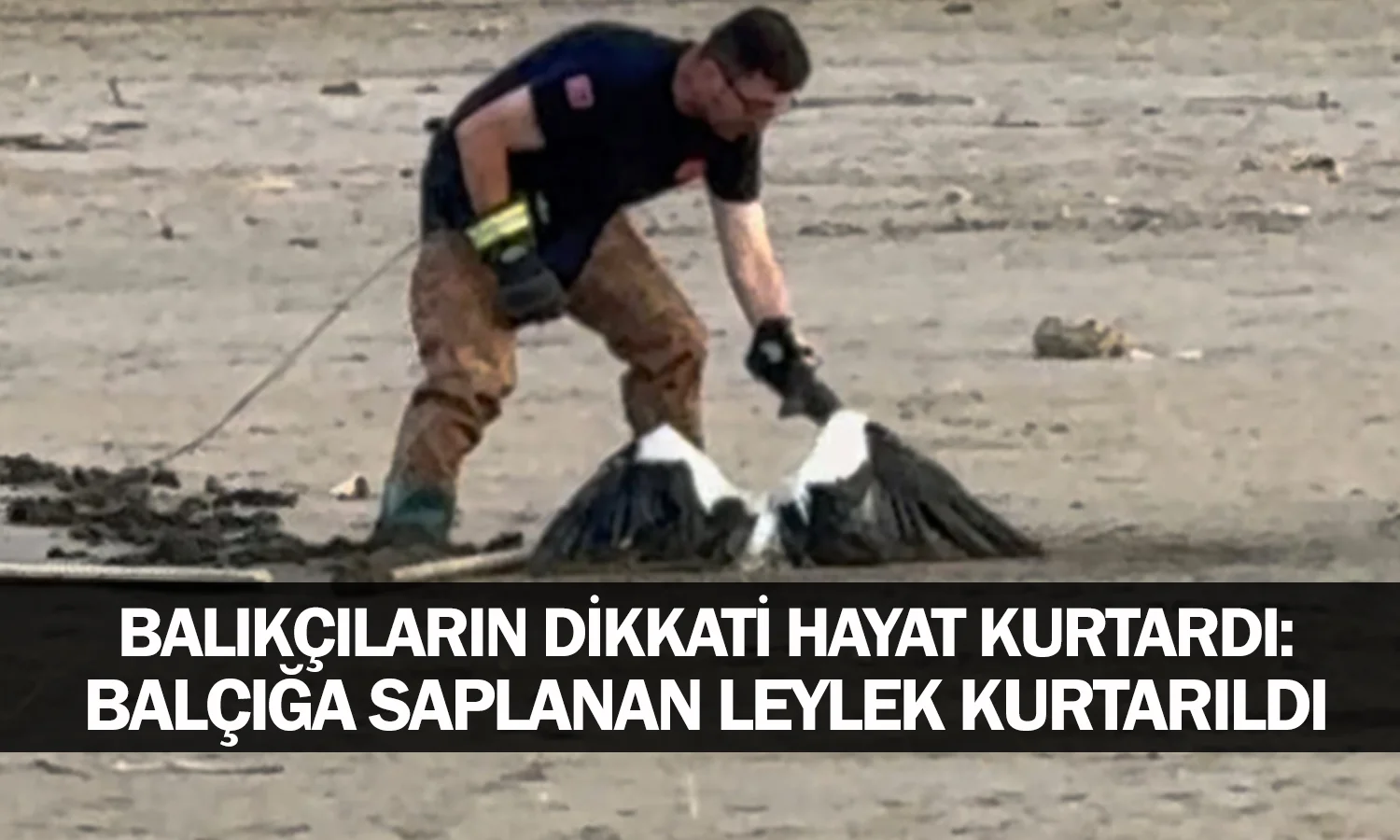 Balıkçıların Dikkati Hayat Kurtardı: Balçığa Saplanan Leylek Kurtarıldı